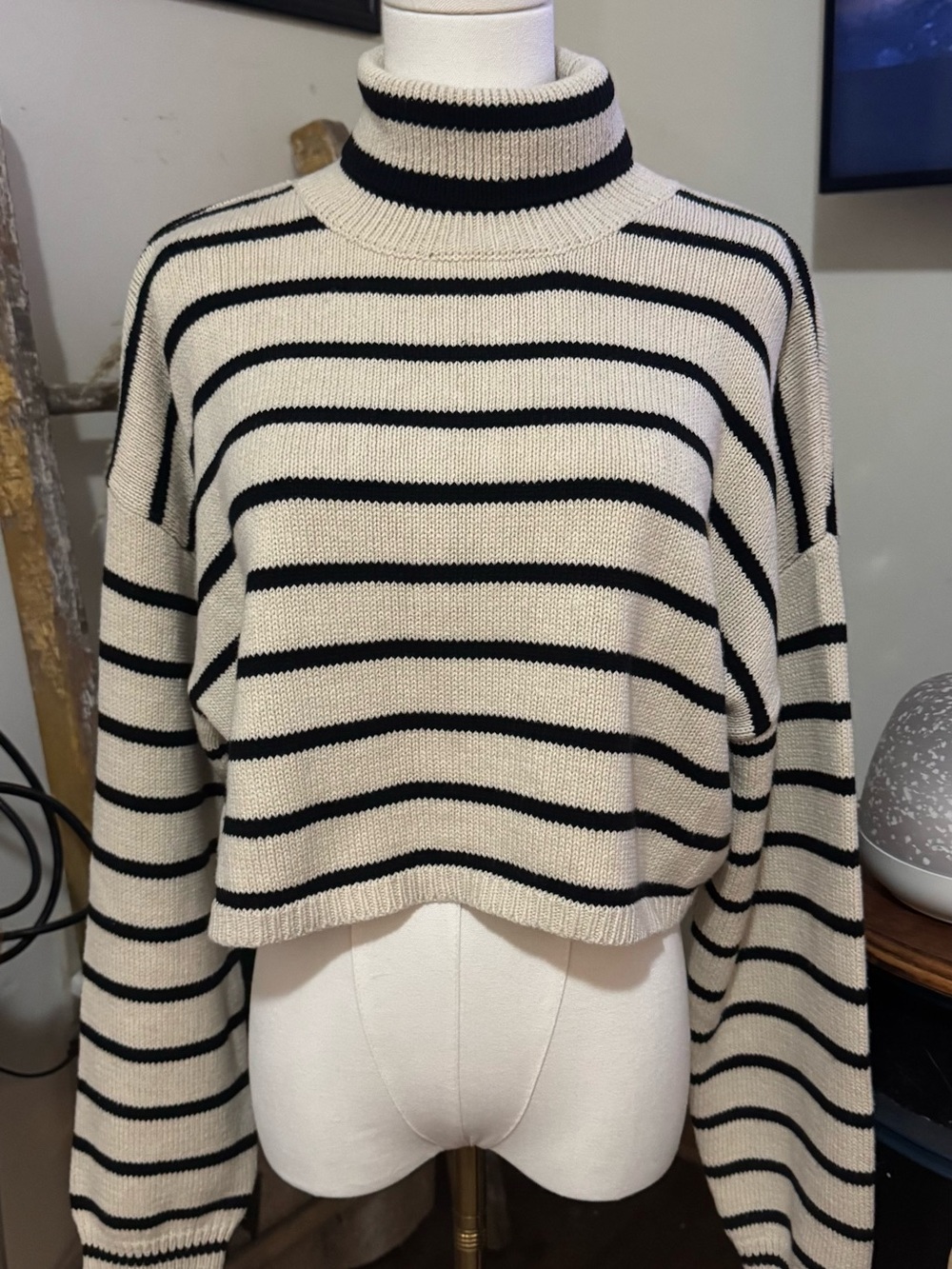 Striped Turtleneck Cropped Sweater - Black/White